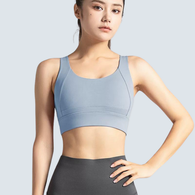 Fuji Sport Bra - ALPHALETICS