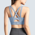 Fuji Sport Bra - ALPHALETICS