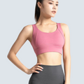 Fuji Sport Bra - ALPHALETICS