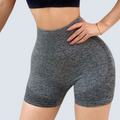 Boa Active Legging - ALPHALETICS